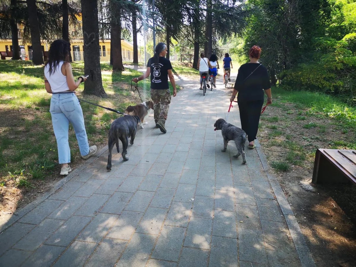Camminata serena con il cane